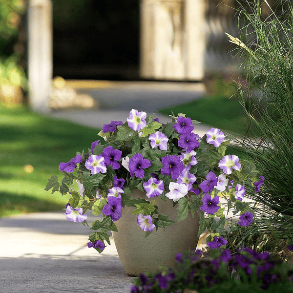 Lifelike Artificial Petunias - Weatherproof Floral Display