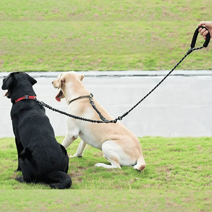 TwistFree™ - Tangle-Free Double Dog Leash