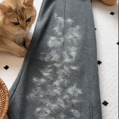 🐾 PawPal™ Pet Cleaning Glove🐾 PawPal™ Pet Cleaning Glove🐾 PawPal™ Pet Cleaning Glove