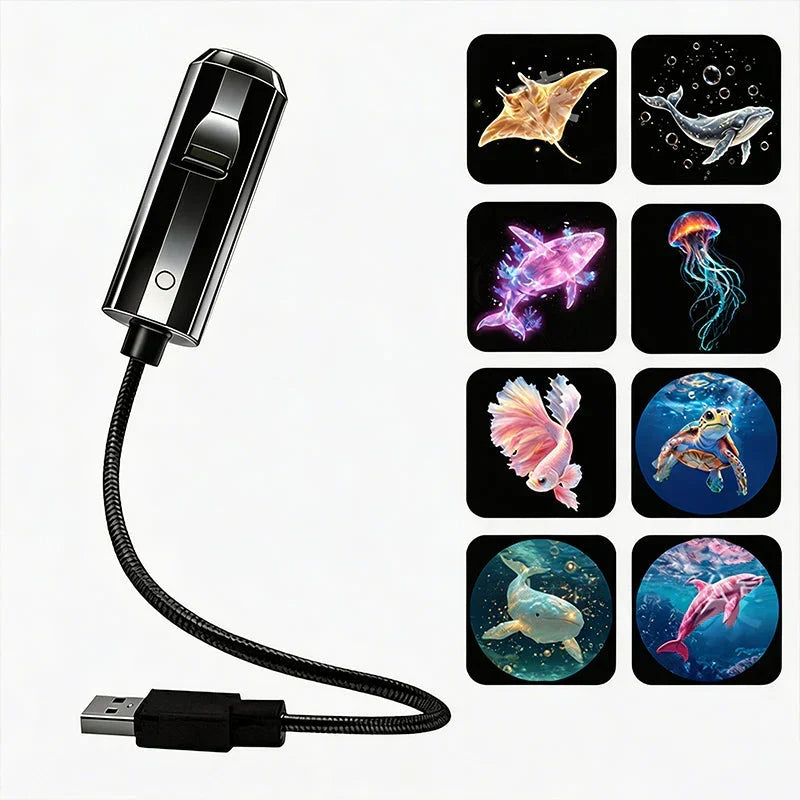 LED star projector with 10 projection slides